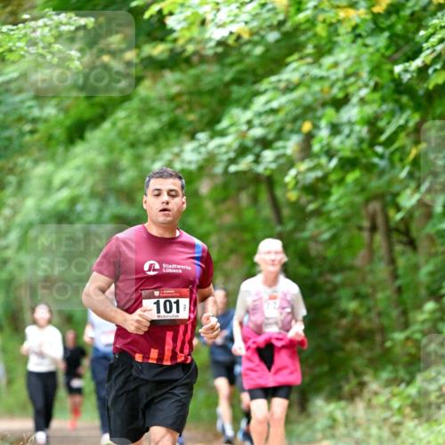 11.10.2026 - Bramfelder Halbmarathon 2026 Dr. Thomas Lammeyer http://msf.ph/oto/10823739 11.10.2026 10:39:26 Laufen 101, 77 meine-sportfotos.de