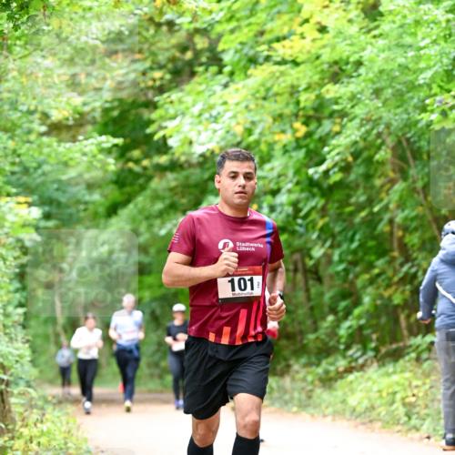 11.10.2026 - Bramfelder Halbmarathon 2026 Dr. Thomas Lammeyer http://msf.ph/oto/10823754 11.10.2026 10:39:27 Laufen 101 meine-sportfotos.de