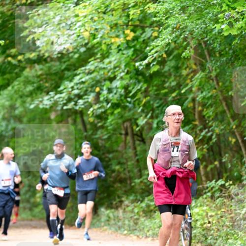 11.10.2026 - Bramfelder Halbmarathon 2026 Dr. Thomas Lammeyer http://msf.ph/oto/10823771 11.10.2026 10:39:29 Laufen 231, 77 meine-sportfotos.de