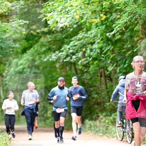 11.10.2026 - Bramfelder Halbmarathon 2026 Dr. Thomas Lammeyer http://msf.ph/oto/10823775 11.10.2026 10:39:29 Laufen 77 meine-sportfotos.de
