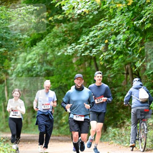 11.10.2026 - Bramfelder Halbmarathon 2026 Dr. Thomas Lammeyer http://msf.ph/oto/10823780 11.10.2026 10:39:30 Laufen 590, 613, 510, 231 meine-sportfotos.de