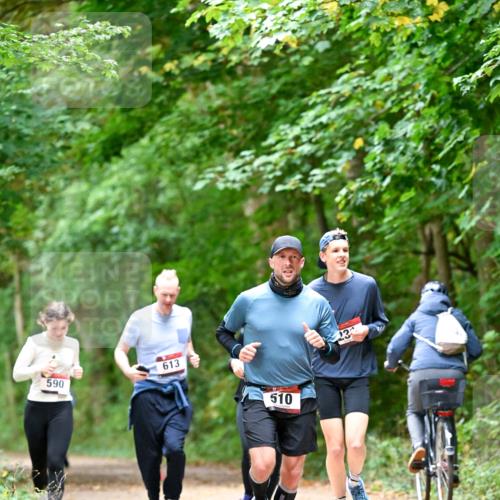 11.10.2026 - Bramfelder Halbmarathon 2026 Dr. Thomas Lammeyer http://msf.ph/oto/10823785 11.10.2026 10:39:30 Laufen 590, 613, 510, 23 meine-sportfotos.de