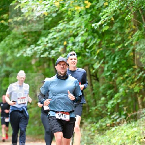 11.10.2026 - Bramfelder Halbmarathon 2026 Dr. Thomas Lammeyer http://msf.ph/oto/10823797 11.10.2026 10:39:31 Laufen 613, 510 meine-sportfotos.de