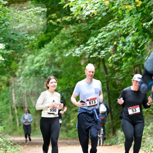 11.10.2026 - Bramfelder Halbmarathon 2026 Dr. Thomas Lammeyer http://msf.ph/oto/10823812 11.10.2026 10:39:33 Laufen 590, 613, 53 meine-sportfotos.de
