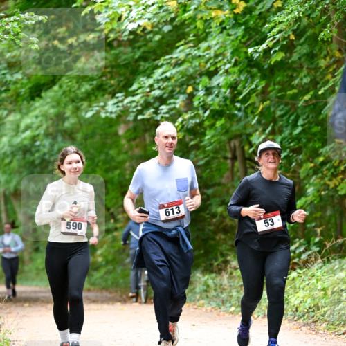 11.10.2026 - Bramfelder Halbmarathon 2026 Dr. Thomas Lammeyer http://msf.ph/oto/10823821 11.10.2026 10:39:33 Laufen 590, 295, 613, 53 meine-sportfotos.de