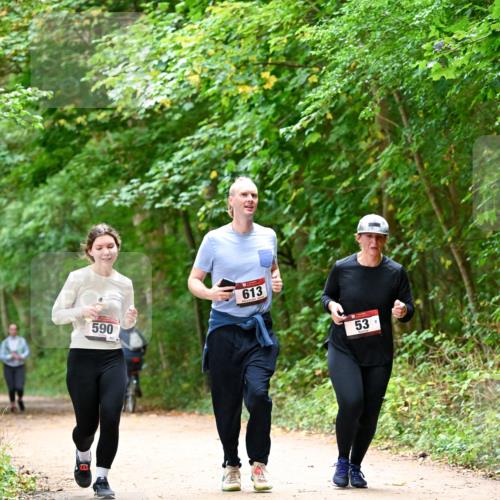 11.10.2026 - Bramfelder Halbmarathon 2026 Dr. Thomas Lammeyer http://msf.ph/oto/10823830 11.10.2026 10:39:34 Laufen 590, 613, 53 meine-sportfotos.de