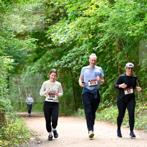 11.10.2026 - Bramfelder Halbmarathon 2026 Dr. Thomas Lammeyer http://msf.ph/oto/10823835 11.10.2026 10:39:35 Laufen 590, 295, 613, 53 meine-sportfotos.de