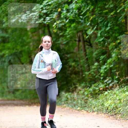 11.10.2026 - Bramfelder Halbmarathon 2026 Dr. Thomas Lammeyer http://msf.ph/oto/10823919 11.10.2026 10:39:44 Laufen  meine-sportfotos.de