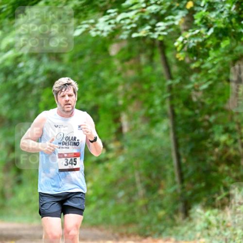 11.10.2026 - Bramfelder Halbmarathon 2026 Dr. Thomas Lammeyer http://msf.ph/oto/10824157 11.10.2026 10:41:30 Laufen 345 meine-sportfotos.de