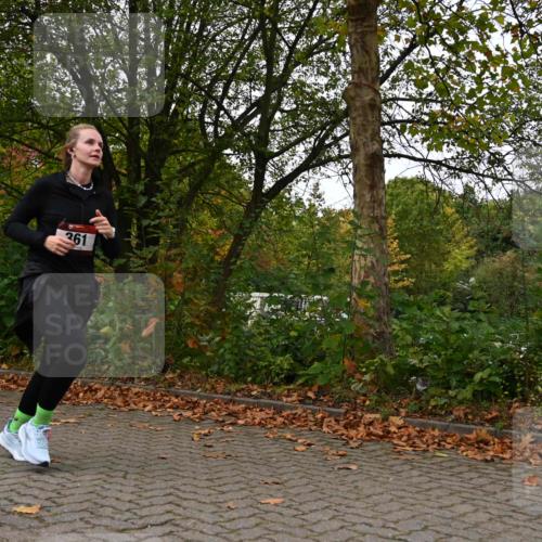 11.10.2026 - Bramfelder Halbmarathon 2026 J. Mangold http://msf.ph/oto/10824177 11.10.2026 10:41:14 Laufen 361, 382, 465 meine-sportfotos.de