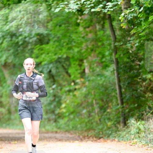 11.10.2026 - Bramfelder Halbmarathon 2026 Dr. Thomas Lammeyer http://msf.ph/oto/10824182 11.10.2026 10:41:38 Laufen 550 meine-sportfotos.de