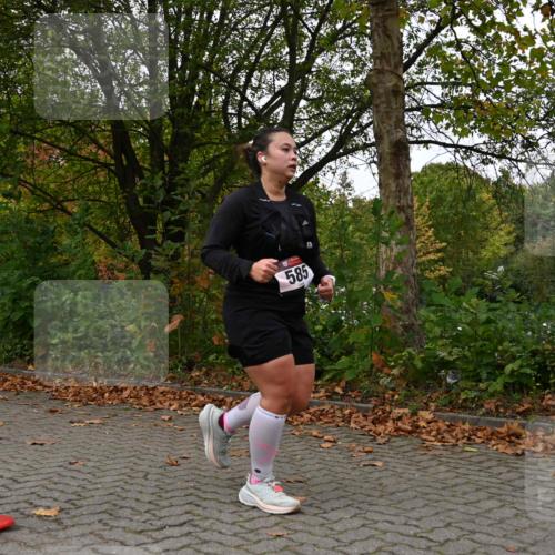 11.10.2026 - Bramfelder Halbmarathon 2026 J. Mangold http://msf.ph/oto/10824243 11.10.2026 10:42:02 Laufen 151, 585, 635 meine-sportfotos.de