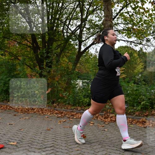 11.10.2026 - Bramfelder Halbmarathon 2026 J. Mangold http://msf.ph/oto/10824245 11.10.2026 10:42:02 Laufen 151, 585, 635 meine-sportfotos.de