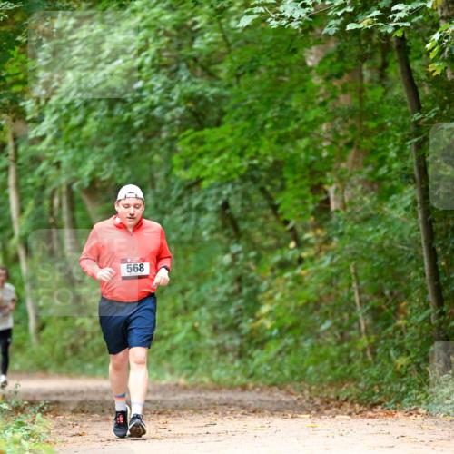 11.10.2026 - Bramfelder Halbmarathon 2026 Dr. Thomas Lammeyer http://msf.ph/oto/10824299 11.10.2026 10:42:07 Laufen 568 meine-sportfotos.de