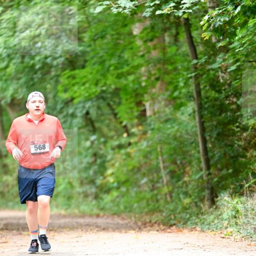 11.10.2026 - Bramfelder Halbmarathon 2026 Dr. Thomas Lammeyer http://msf.ph/oto/10824310 11.10.2026 10:42:09 Laufen 568, 96 meine-sportfotos.de