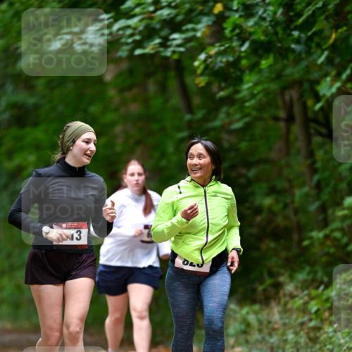 11.10.2026 - Bramfelder Halbmarathon 2026 Dr. Thomas Lammeyer http://msf.ph/oto/10824377 11.10.2026 10:42:36 Laufen 13 meine-sportfotos.de