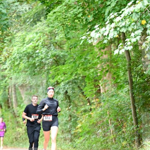 11.10.2026 - Bramfelder Halbmarathon 2026 Dr. Thomas Lammeyer http://msf.ph/oto/10824416 11.10.2026 10:42:53 Laufen 641, 372 meine-sportfotos.de