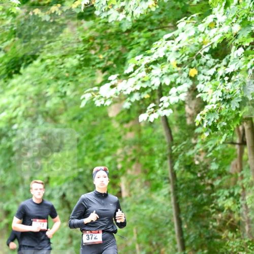 11.10.2026 - Bramfelder Halbmarathon 2026 Dr. Thomas Lammeyer http://msf.ph/oto/10824433 11.10.2026 10:42:55 Laufen 372 meine-sportfotos.de