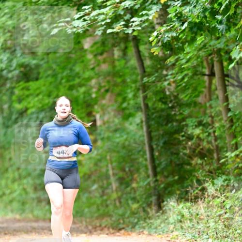 11.10.2026 - Bramfelder Halbmarathon 2026 Dr. Thomas Lammeyer http://msf.ph/oto/10824619 11.10.2026 10:44:01 Laufen 44 meine-sportfotos.de