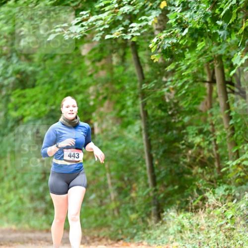 11.10.2026 - Bramfelder Halbmarathon 2026 Dr. Thomas Lammeyer http://msf.ph/oto/10824621 11.10.2026 10:44:01 Laufen 443 meine-sportfotos.de