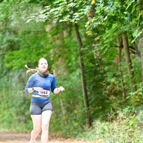 11.10.2026 - Bramfelder Halbmarathon 2026 Dr. Thomas Lammeyer http://msf.ph/oto/10824622 11.10.2026 10:44:02 Laufen 443 meine-sportfotos.de