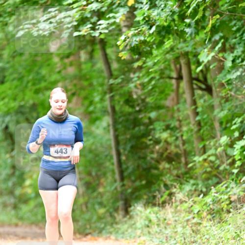 11.10.2026 - Bramfelder Halbmarathon 2026 Dr. Thomas Lammeyer http://msf.ph/oto/10824626 11.10.2026 10:44:02 Laufen 443 meine-sportfotos.de