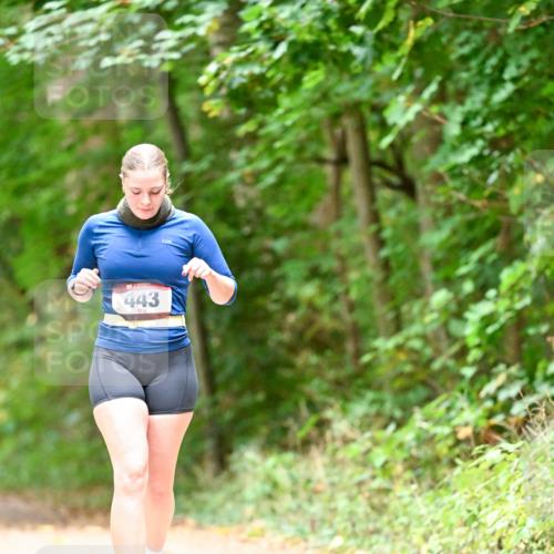 11.10.2026 - Bramfelder Halbmarathon 2026 Dr. Thomas Lammeyer http://msf.ph/oto/10824635 11.10.2026 10:44:03 Laufen 443 meine-sportfotos.de