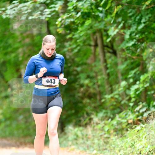 11.10.2026 - Bramfelder Halbmarathon 2026 Dr. Thomas Lammeyer http://msf.ph/oto/10824637 11.10.2026 10:44:04 Laufen 443 meine-sportfotos.de