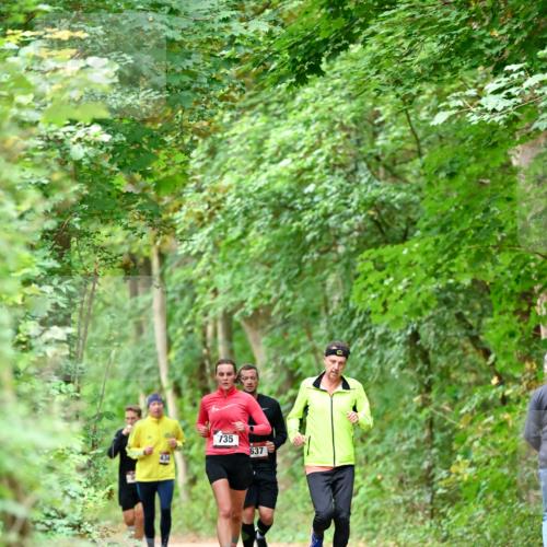 11.10.2026 - Bramfelder Halbmarathon 2026 Dr. Thomas Lammeyer http://msf.ph/oto/10824640 11.10.2026 10:44:34 Laufen 135, 637 meine-sportfotos.de
