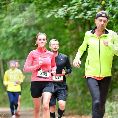 11.10.2026 - Bramfelder Halbmarathon 2026 Dr. Thomas Lammeyer http://msf.ph/oto/10824676 11.10.2026 10:44:40 Laufen 735, 637 meine-sportfotos.de