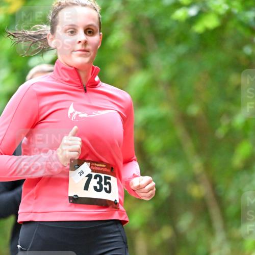 11.10.2026 - Bramfelder Halbmarathon 2026 Dr. Thomas Lammeyer http://msf.ph/oto/10824697 11.10.2026 10:44:43 Laufen 29, 35, 135 meine-sportfotos.de