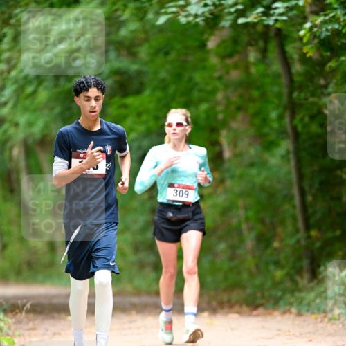 11.10.2026 - Bramfelder Halbmarathon 2026 Dr. Thomas Lammeyer http://msf.ph/oto/10824852 11.10.2026 10:45:49 Laufen 309 meine-sportfotos.de