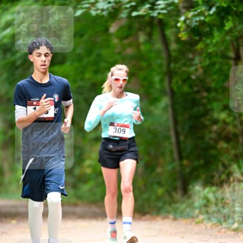 11.10.2026 - Bramfelder Halbmarathon 2026 Dr. Thomas Lammeyer http://msf.ph/oto/10824857 11.10.2026 10:45:50 Laufen 309 meine-sportfotos.de