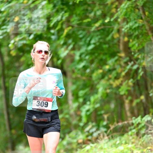 11.10.2026 - Bramfelder Halbmarathon 2026 Dr. Thomas Lammeyer http://msf.ph/oto/10824868 11.10.2026 10:45:52 Laufen 309 meine-sportfotos.de