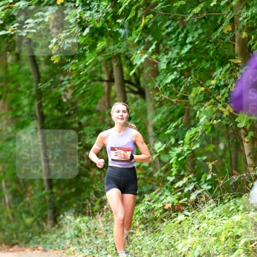 11.10.2026 - Bramfelder Halbmarathon 2026 Dr. Thomas Lammeyer http://msf.ph/oto/10824922 11.10.2026 10:46:22 Laufen  meine-sportfotos.de