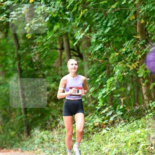 11.10.2026 - Bramfelder Halbmarathon 2026 Dr. Thomas Lammeyer http://msf.ph/oto/10824923 11.10.2026 10:46:22 Laufen 6 meine-sportfotos.de