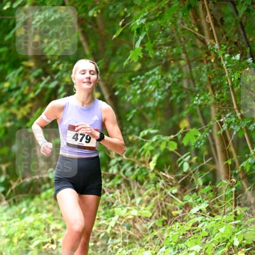 11.10.2026 - Bramfelder Halbmarathon 2026 Dr. Thomas Lammeyer http://msf.ph/oto/10824935 11.10.2026 10:46:24 Laufen 479 meine-sportfotos.de