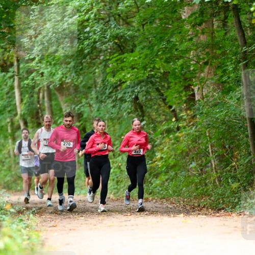 11.10.2026 - Bramfelder Halbmarathon 2026 Dr. Thomas Lammeyer http://msf.ph/oto/10825015 11.10.2026 10:47:12 Laufen 769, 270, 323 meine-sportfotos.de