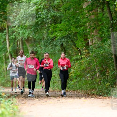 11.10.2026 - Bramfelder Halbmarathon 2026 Dr. Thomas Lammeyer http://msf.ph/oto/10825017 11.10.2026 10:47:13 Laufen 769, 788, 270, 360, 323 meine-sportfotos.de