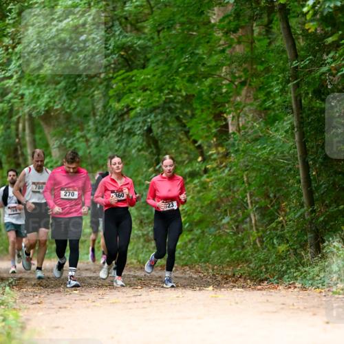 11.10.2026 - Bramfelder Halbmarathon 2026 Dr. Thomas Lammeyer http://msf.ph/oto/10825021 11.10.2026 10:47:13 Laufen 769, 788, 270, 360, 23 meine-sportfotos.de