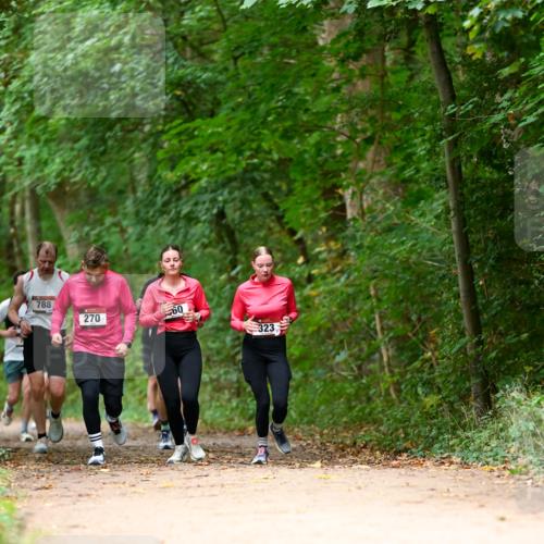 11.10.2026 - Bramfelder Halbmarathon 2026 Dr. Thomas Lammeyer http://msf.ph/oto/10825024 11.10.2026 10:47:14 Laufen 788, 270, 323 meine-sportfotos.de