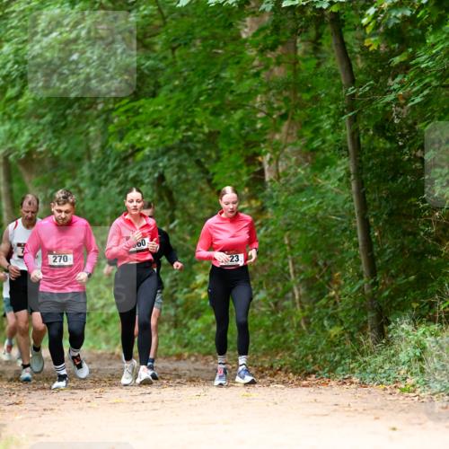 11.10.2026 - Bramfelder Halbmarathon 2026 Dr. Thomas Lammeyer http://msf.ph/oto/10825027 11.10.2026 10:47:14 Laufen 270, 00, 23 meine-sportfotos.de
