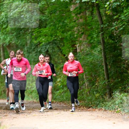 11.10.2026 - Bramfelder Halbmarathon 2026 Dr. Thomas Lammeyer http://msf.ph/oto/10825031 11.10.2026 10:47:15 Laufen 270, 360, 32 meine-sportfotos.de