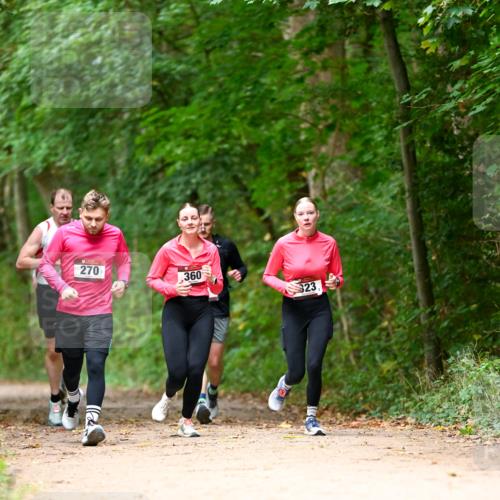 11.10.2026 - Bramfelder Halbmarathon 2026 Dr. Thomas Lammeyer http://msf.ph/oto/10825034 11.10.2026 10:47:15 Laufen 270, 360, 323 meine-sportfotos.de