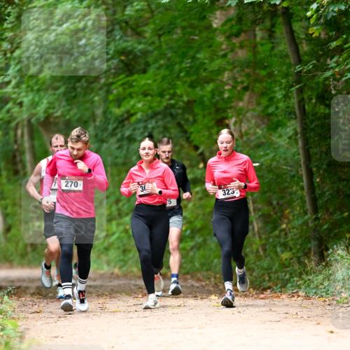11.10.2026 - Bramfelder Halbmarathon 2026 Dr. Thomas Lammeyer http://msf.ph/oto/10825036 11.10.2026 10:47:16 Laufen 270, 5, 323 meine-sportfotos.de