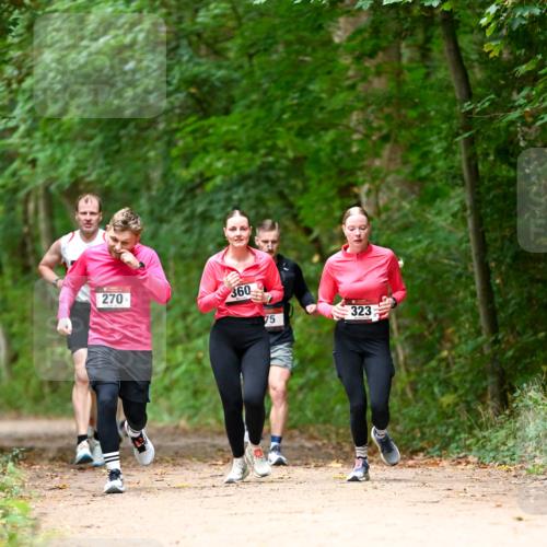 11.10.2026 - Bramfelder Halbmarathon 2026 Dr. Thomas Lammeyer http://msf.ph/oto/10825037 11.10.2026 10:47:16 Laufen 270, 360, 75, 323 meine-sportfotos.de