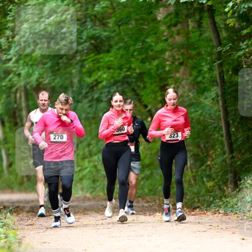 11.10.2026 - Bramfelder Halbmarathon 2026 Dr. Thomas Lammeyer http://msf.ph/oto/10825038 11.10.2026 10:47:16 Laufen 360, 270, 323 meine-sportfotos.de