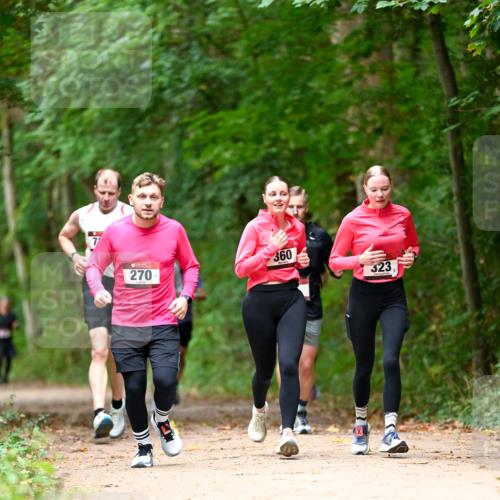 11.10.2026 - Bramfelder Halbmarathon 2026 Dr. Thomas Lammeyer http://msf.ph/oto/10825041 11.10.2026 10:47:17 Laufen 360, 270, 323 meine-sportfotos.de