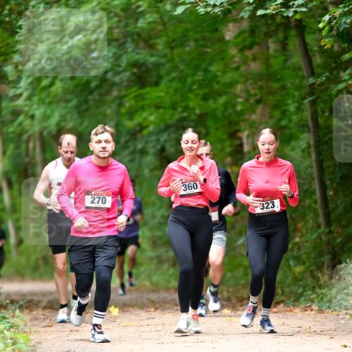 11.10.2026 - Bramfelder Halbmarathon 2026 Dr. Thomas Lammeyer http://msf.ph/oto/10825043 11.10.2026 10:47:17 Laufen 270, 360, 323 meine-sportfotos.de