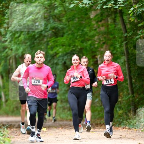 11.10.2026 - Bramfelder Halbmarathon 2026 Dr. Thomas Lammeyer http://msf.ph/oto/10825044 11.10.2026 10:47:17 Laufen 270, 360, 5, 323 meine-sportfotos.de